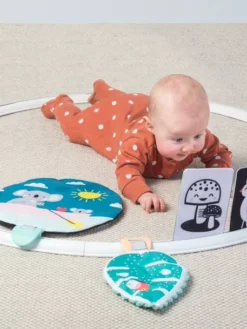 Cerceau D'activités Koala TAFTOYS Beige - Taf Toys -Magasin De Produits Pour Bébés De Qualité cerceau dactivites koala taftoys 2