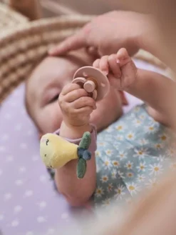 Hochets Mains Et Pieds DOUCE PROVENCE Violet - Douce Provence - Vertbaudet 11 Hochets Mains Et Pieds DOUCE PROVENCE Violet - Douce Provence - Vertbaudet -Magasin De Produits Pour Bébés De Qualité hochets mains et pieds douce provence 5