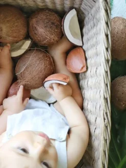 Jouet De Dentition Coco La Noix De Coco - OLI & CAROL Marron - Oli Et Carol 11 Jouet De Dentition Coco La Noix De Coco - OLI & CAROL Marron - Oli Et Carol -Magasin De Produits Pour Bébés De Qualité jouet de dentition coco la noix de coco oli carol 5