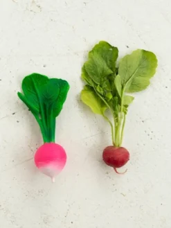 Jouet De Dentition Ramona Le Radis - OLI & CAROL Rose - Oli Et Carol 11 Jouet De Dentition Ramona Le Radis - OLI & CAROL Rose - Oli Et Carol -Magasin De Produits Pour Bébés De Qualité jouet de dentition ramona le radis oli carol 5