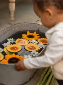 Sun Le Tournesol - OLI & CAROL Jaune - Oli Et Carol -Magasin De Produits Pour Bébés De Qualité sun le tournesol oli carol 3