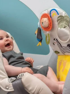 Tableau De Voiture Savane - TAF TOYS Multicolore - Taf Toys -Magasin De Produits Pour Bébés De Qualité tableau de voiture savane taf toys 2