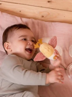 Tapis D'Éveil Oiseau - LITTLE DUTCH Rose Pâle - Little Dutch -Magasin De Produits Pour Bébés De Qualité tapis deveil oiseau little dutch 4